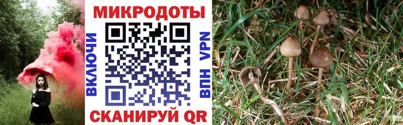 цены наркотик  Петров Вал  Псилоцибиновые грибы Magic Shrooms 